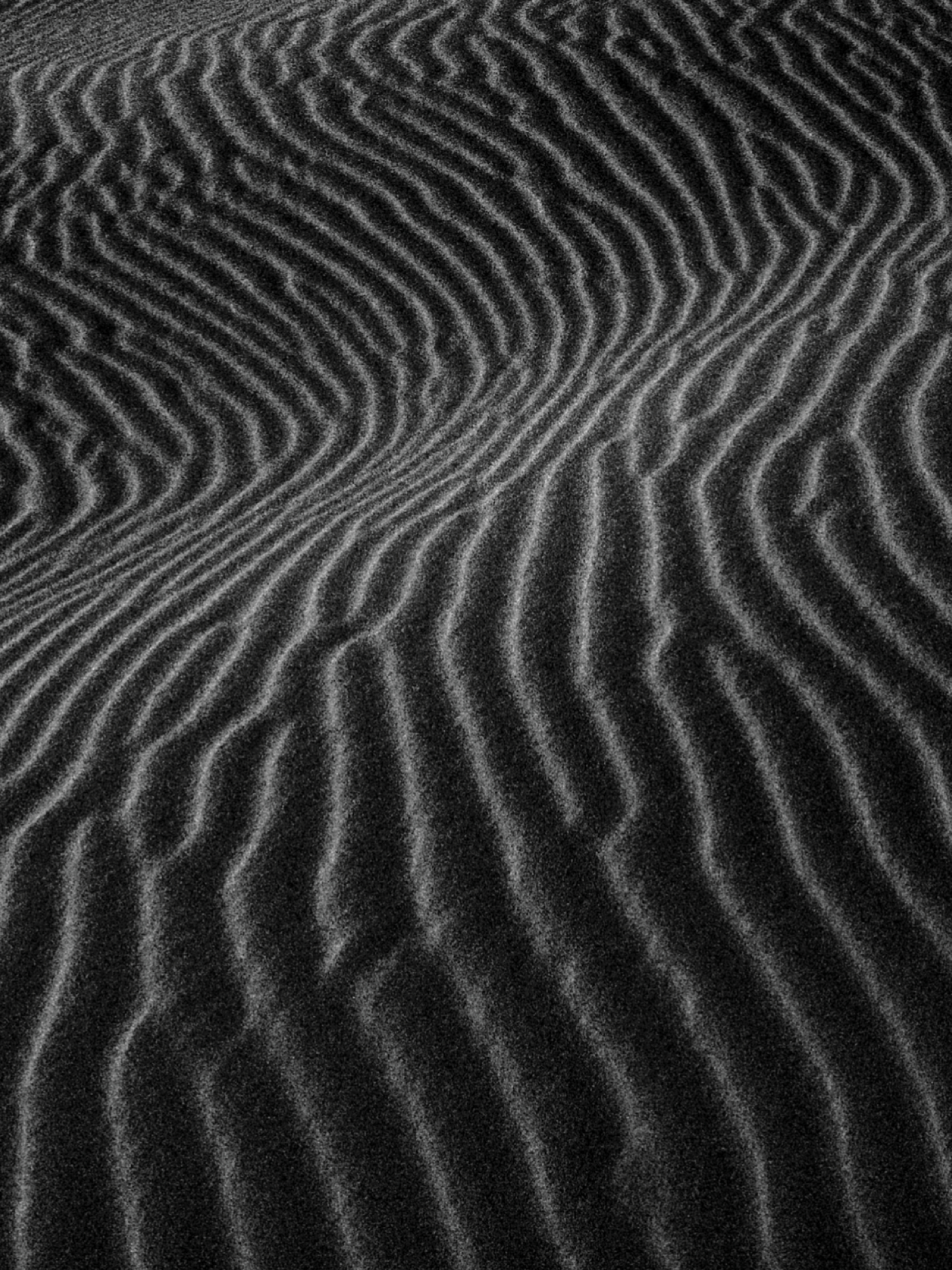 ASH DURDEN - DUNES