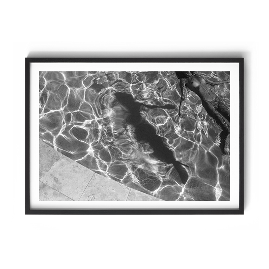 TROY FREYEE - Float