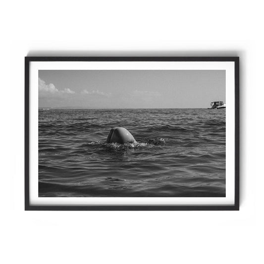 Morning Dip
